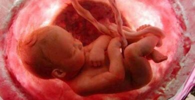 aborto-concepción