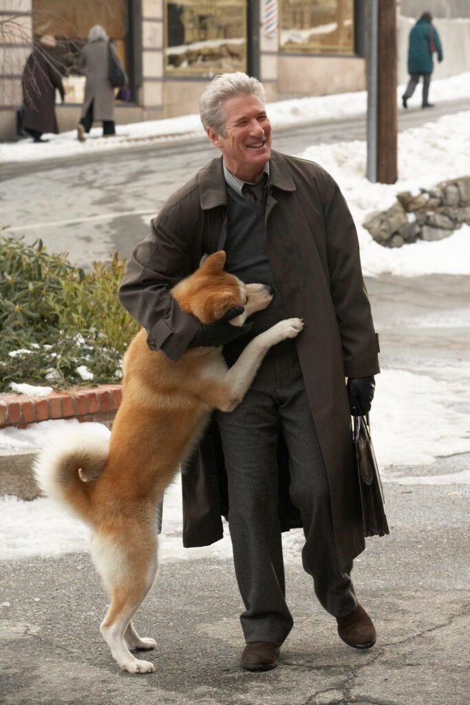 hachiko x