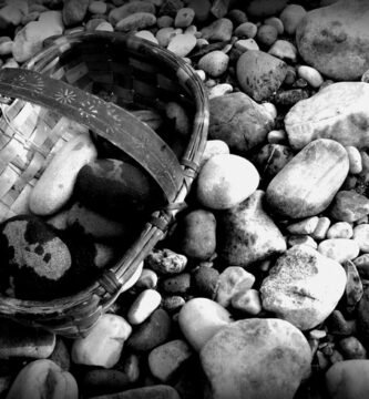 piedras x